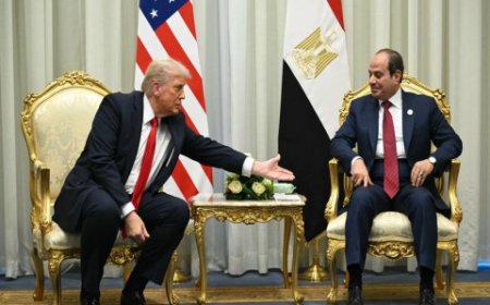 الرئيس المصري سيلتقي ترامب لبحث تعديل معاهدة السلام مع إسرائيل وطلب تدخل عاجل لحل الخلاف مع إثيوبيا