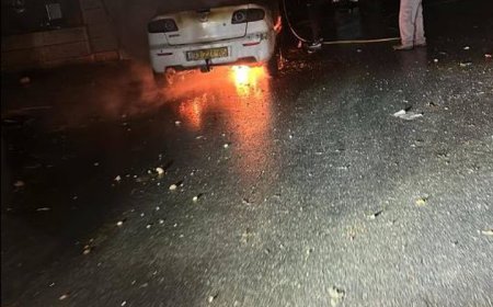 المستوطنون يحرقون عين يبرود