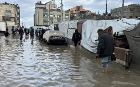 هآرتس: كيف ينتقل اهتمام العالم فجأة من مآسٍ يومية في القطاع إلى حادث واحد حين يكون الضحايا يهودا