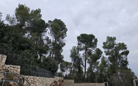 حالة الطقس: ارتفاع على درجات الحرارة مع بقاء الأجواء باردة