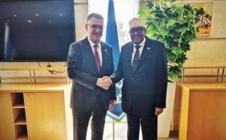 إعلام عبري يكشف زيارة سرية لرئيس أرض الصومال لإسرائيل