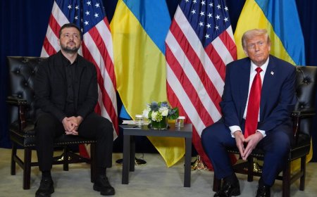 خطة الـ800 مليار دولار.. زيلينسكي يحاول إقناع ترامب بإنهاء حرب أوكرانيا