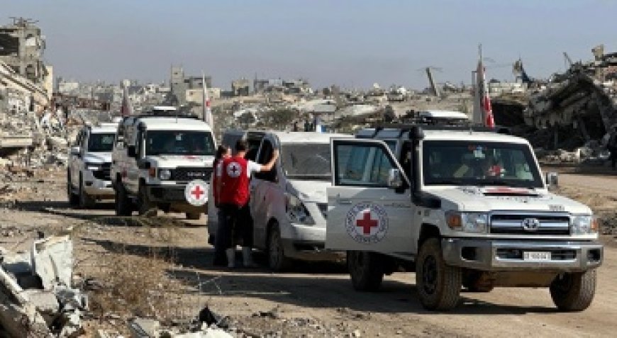 تركيا تضع شرطاً حل ملف محاصري رفح قبل تسليم جثمان الجندي غولدين