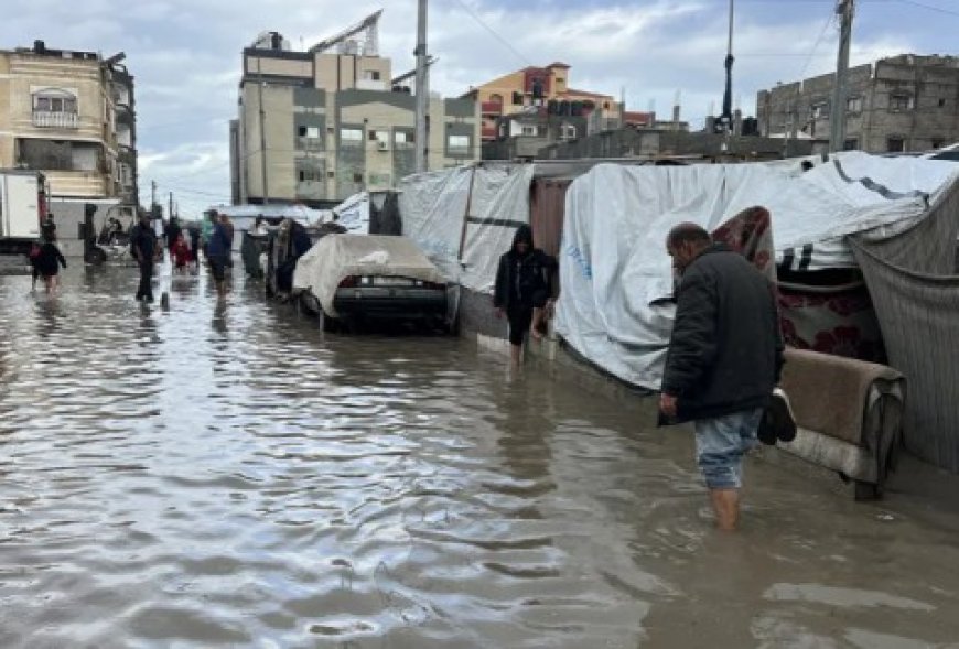 هآرتس: كيف ينتقل اهتمام العالم فجأة من مآسٍ يومية في القطاع إلى حادث واحد حين يكون الضحايا يهودا