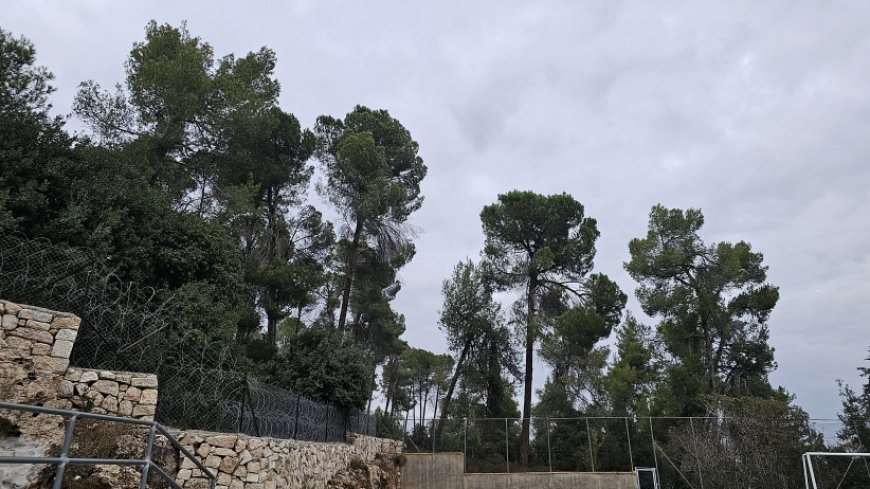 حالة الطقس: ارتفاع على درجات الحرارة مع بقاء الأجواء باردة