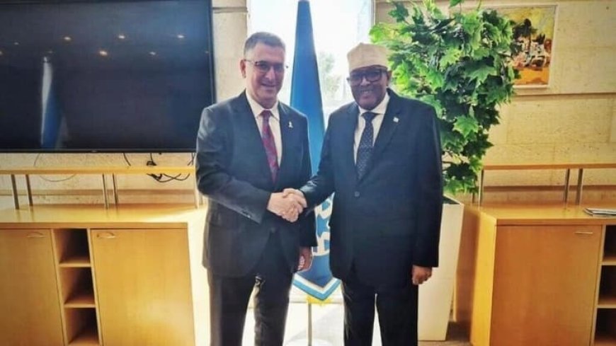 إعلام عبري يكشف زيارة سرية لرئيس أرض الصومال لإسرائيل