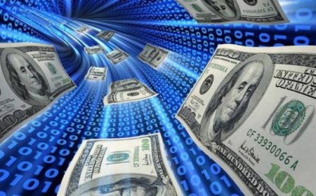 ارتفاع تمويلات الشركات غير الربحية إلى 135 مليون دولار خلال 2025 بزيادة 170% عن عام 2024 دعم صمود المواطنين في قطاع غزة