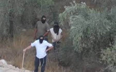 إسرائيل تلتف على إرهاب المستوطنين: أساور إلكترونية بدل الاعتقال