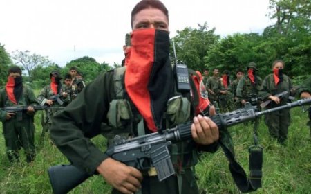 فايننشال تايمز: الجماعات المسلحة بفنزويلا تهديد لخطط واشنطن