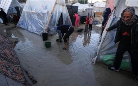 الصليب الأحمر الألماني: أوضاع الإمدادات بغزة مروعة وهي تتفاقم