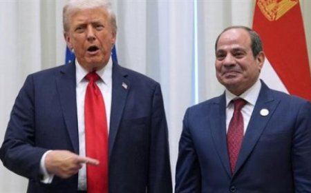 ترامب يعرض التوسط بين مصر وإثيوبيا بشأن سد النهضة