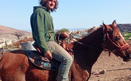 مستوطنون يعيقون عمل طواقم لجنة الانتخابات في تجمع يرزة شرق طوباس