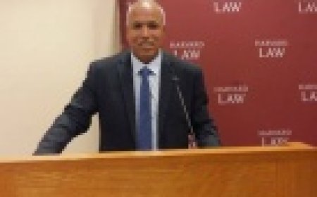 الأمم المتحدة في ذمة التاريخ