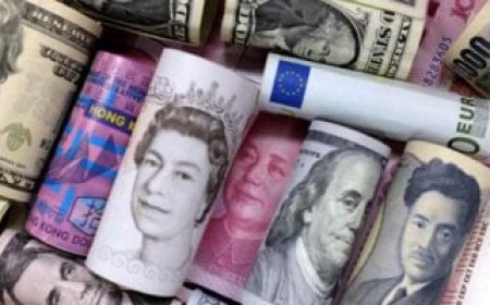 الدولار يتراجع في 2025.. عملات تحقق مكاسب قياسية أمام الأخضر الأميركي