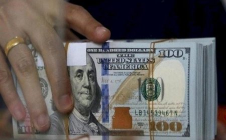 الدولار ينهار ..الشيكل يسجل رقما قياسيا