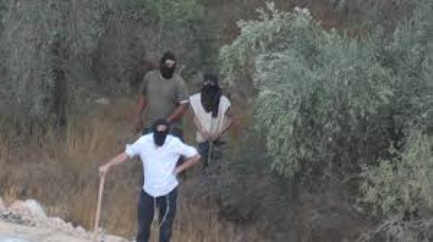 إسرائيل تلتف على إرهاب المستوطنين: أساور إلكترونية بدل الاعتقال