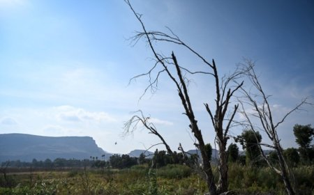 طقس غير اعتيادي وأرقام قياسية منذ 39 عاما.. درجات حرارة تلامس 30 مئوية مطلع شباط