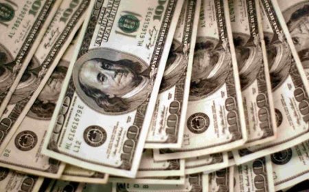 كين غريفين: الدولار فقد بعضاً من بريقه خلال الـ12 شهراً الماضية