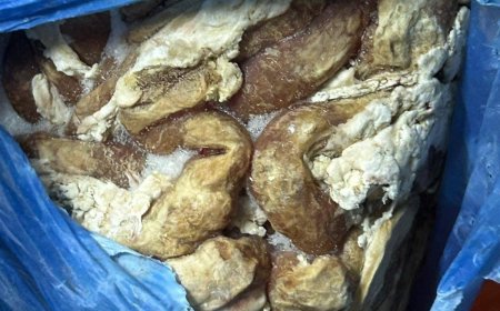 ضبط أطنان من اللحوم والتمور والسكاكر الفاسدة