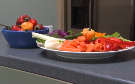 من يطعم العالم؟.. خريطة أكبر 10 قوى زراعية