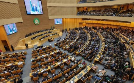 في بيانها الختامي: القمة الأفريقية تطالب بدعم مطلق لعضوية فلسطين الكاملة وتحذر من تهجير سكان غزة