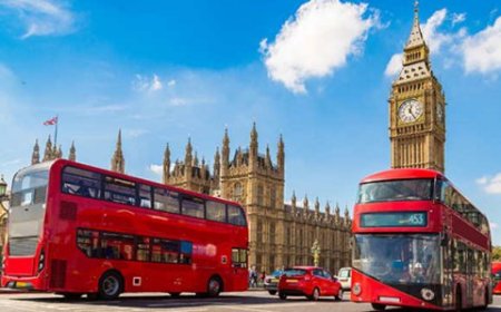 بريطانيا تعلق مشروع “النافذة التجارية الموحدة” بعد إنفاق 110 ملايين جنيه