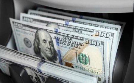 الدولار ينخفض بعد قرار المحكمة العليا ضد رسوم ترامب الجمركية