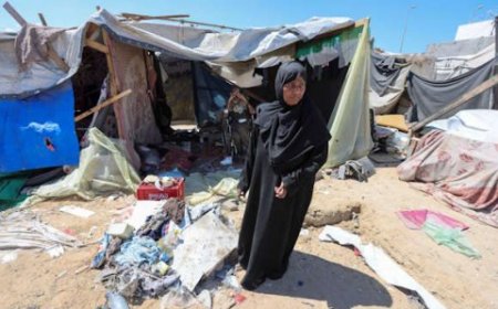 التلغراف: الولايات المتحدة تريد من عصابات الجريمة المنظمة تشكيل قوة شرطة غزة