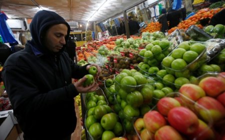 الإحصاء: الرقم القياسي لأسعار المنتج يسجل ارتفاعا حادا نسبته 6.61%