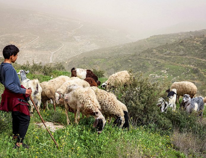 إسرائيل تبدأ تسوية أراضي الضفة الغربية وتحويلها لأملاك دولة