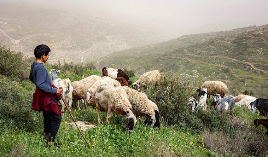 إسرائيل تبدأ تسوية أراضي الضفة الغربية وتحويلها لأملاك دولة