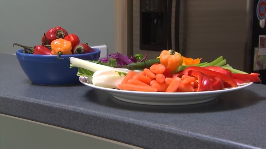 من يطعم العالم؟.. خريطة أكبر 10 قوى زراعية