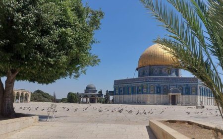 لليوم السادس- الاحتلال يواصل إغلاق الأقصى ويمنع المصلين من دخوله