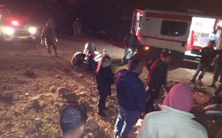 مستوطنون يعتدون على عائلة في طمون ويسرقون 400 رأس غنم