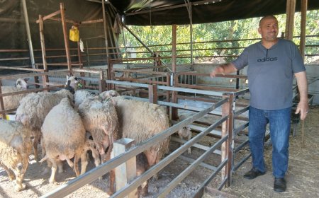 الاتحاد الأوروبي ينفذ جولة ميدانية للإطلاع على مجموعة من المشاريع التي يمولها لدعم صمود المزراعين في تياسير وعاطوف  وسلحب وفلاميا بقيمة تقدر بنحو 65 ألف يورو