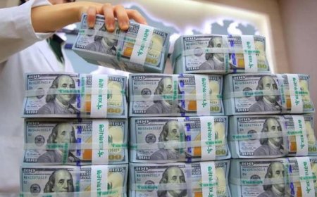 10,720 مليون دولار صافي رصيد وضع الاستثمار الدولي في فلسطين