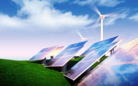 من يقود التحول العالمي نحو الطاقة الخضراء؟