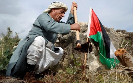50 عاما على ذكرى يوم الأرض