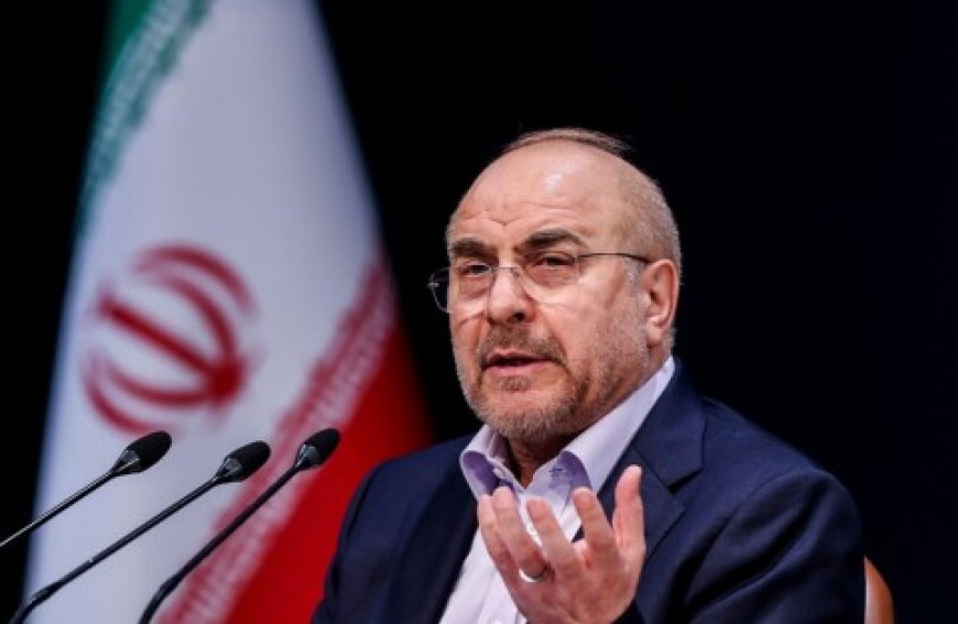 قاليباف: ترامب لم يستوعب الكارثة التي جلبها وأمريكا ستتعلم الدرس القاسي ومصير إيران لن تحدده “عصابة إبستين”