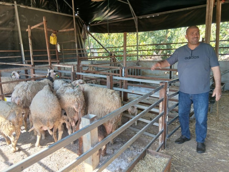 الاتحاد الأوروبي ينفذ جولة ميدانية للإطلاع على مجموعة من المشاريع التي يمولها لدعم صمود المزراعين في تياسير وعاطوف  وسلحب وفلاميا بقيمة تقدر بنحو 65 ألف يورو