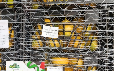 سليمية يعلن إنجاز الاعتماد الرسمي للمنتجات الفلسطينية في السوق السعودي، ويدعو المصدّرين للانطلاق نحو تصدير المنتجات الفائضة فقط