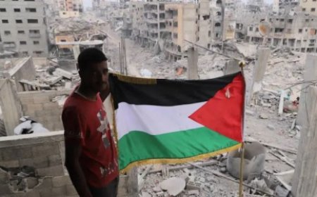 كوسوفو والبوسنة توافقان رسميًا على المشاركة في القوة الدولية المقرر نشرها في قطاع غزة.. قيود وعقبات تُعيق التنفيذ