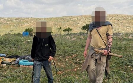 رون بن يشاي: ما يحدث في الضفة "تطهير عرقي" برعاية سموتريتش وبن غفير