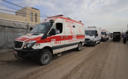 عودة عمليات الإجلاء عبر كرم أبو سالم بعد انقطاع لنحو شهرين