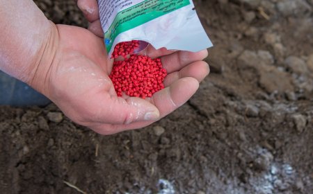 نقص الأسمدة بسبب حرب إيران ينذر بمشكلات لمحاصيل حبوب العام المقبل