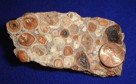 طفرة البوكسيت.. إنتاج غينيا يقفز 25% بفضل الصين لكن الأسعار وقيود التصدير تهددان المكاسب