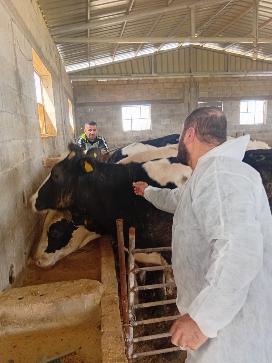 وزارة الزراعة: تحصين 13,067 رأساً من أبقار الحليب ضمن الحملة الوطنية التي أطلقتها الوزارة في مختلف المحافظات ضد الحمى القلاعية (SAT1)