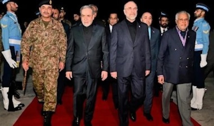 تهديدات تطال طائرة الوفد الإيراني تغيّر مسار العودة