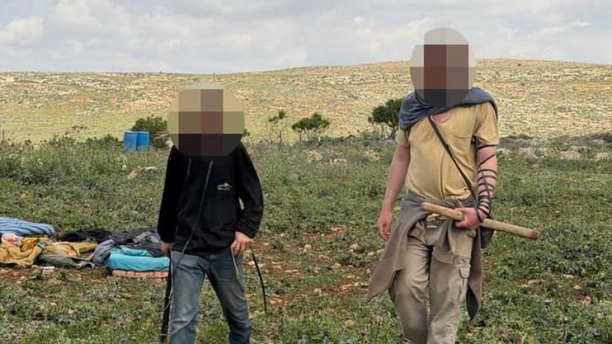 رون بن يشاي: ما يحدث في الضفة "تطهير عرقي" برعاية سموتريتش وبن غفير