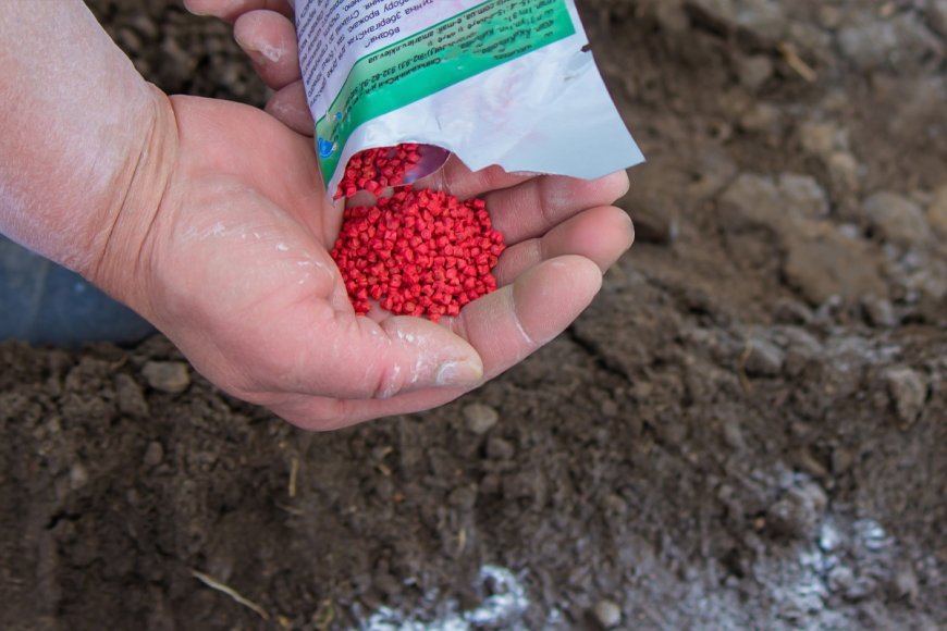 نقص الأسمدة بسبب حرب إيران ينذر بمشكلات لمحاصيل حبوب العام المقبل